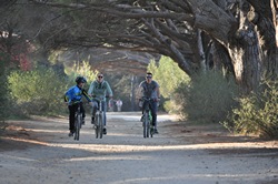Location de vélo à Porquerolles
