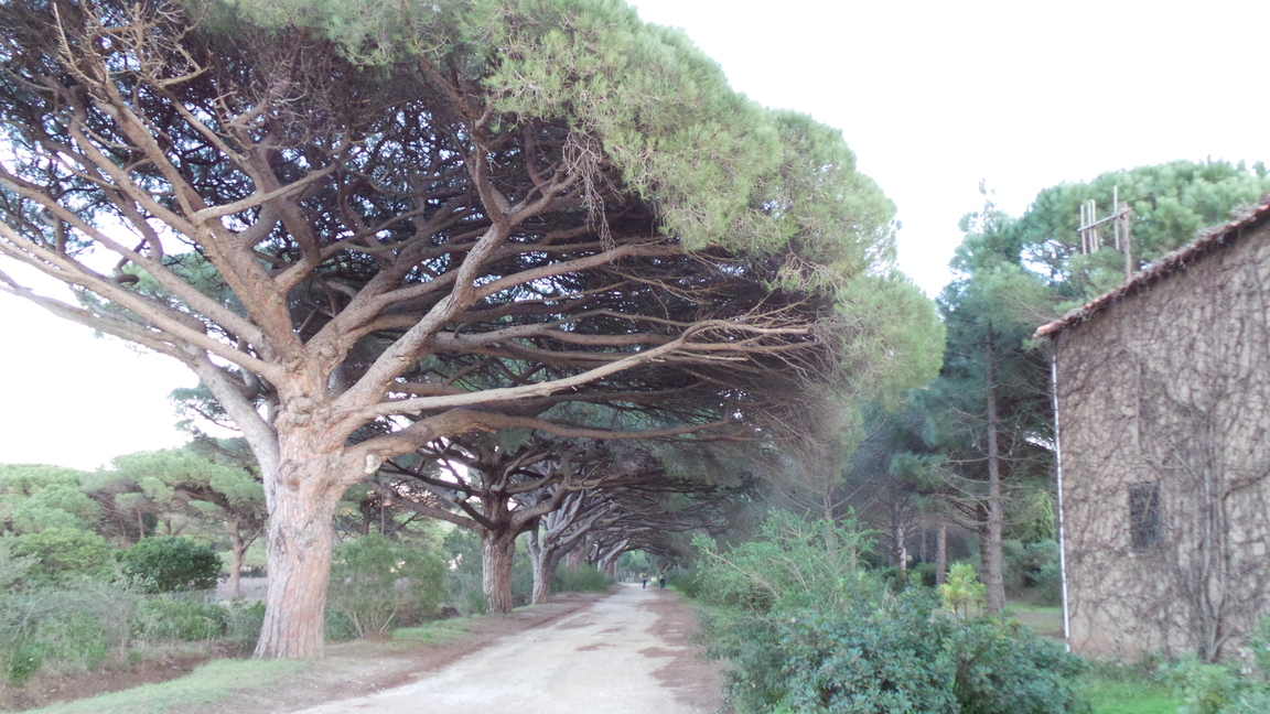 Activité vélo à Porquerolles